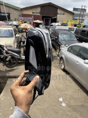 IS250 Side Mirror