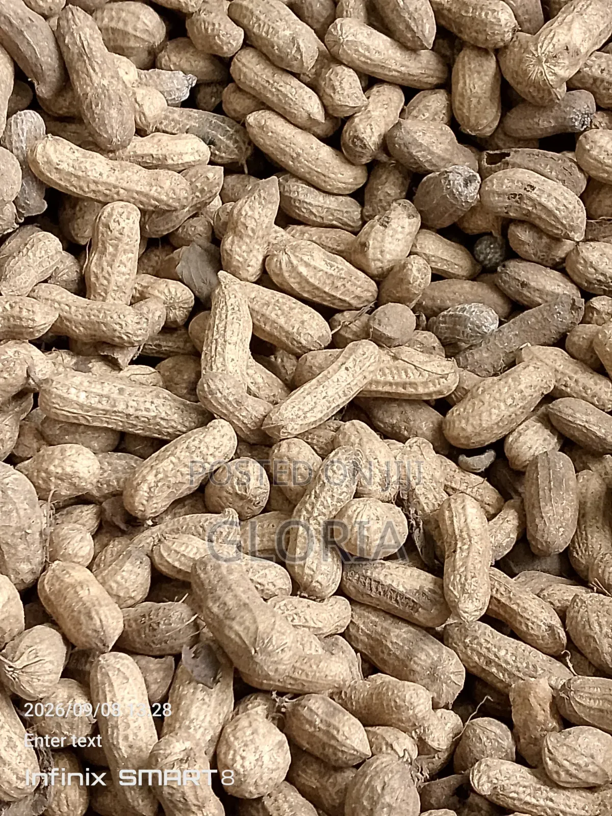 Edo State Fresh Groundnut F
