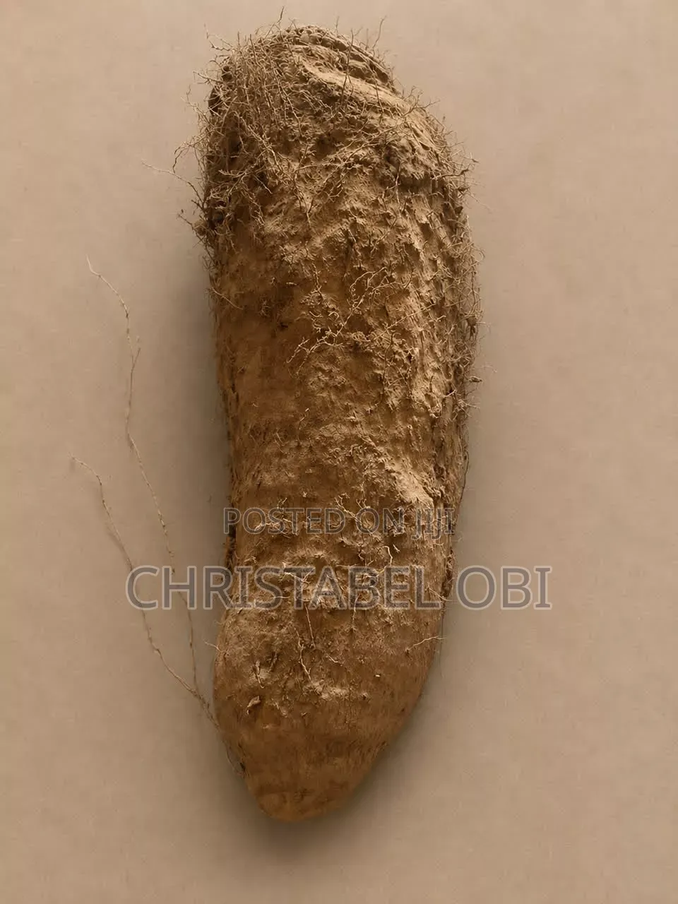 Maigo White Yam