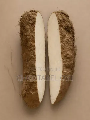 Maigo White Yam
