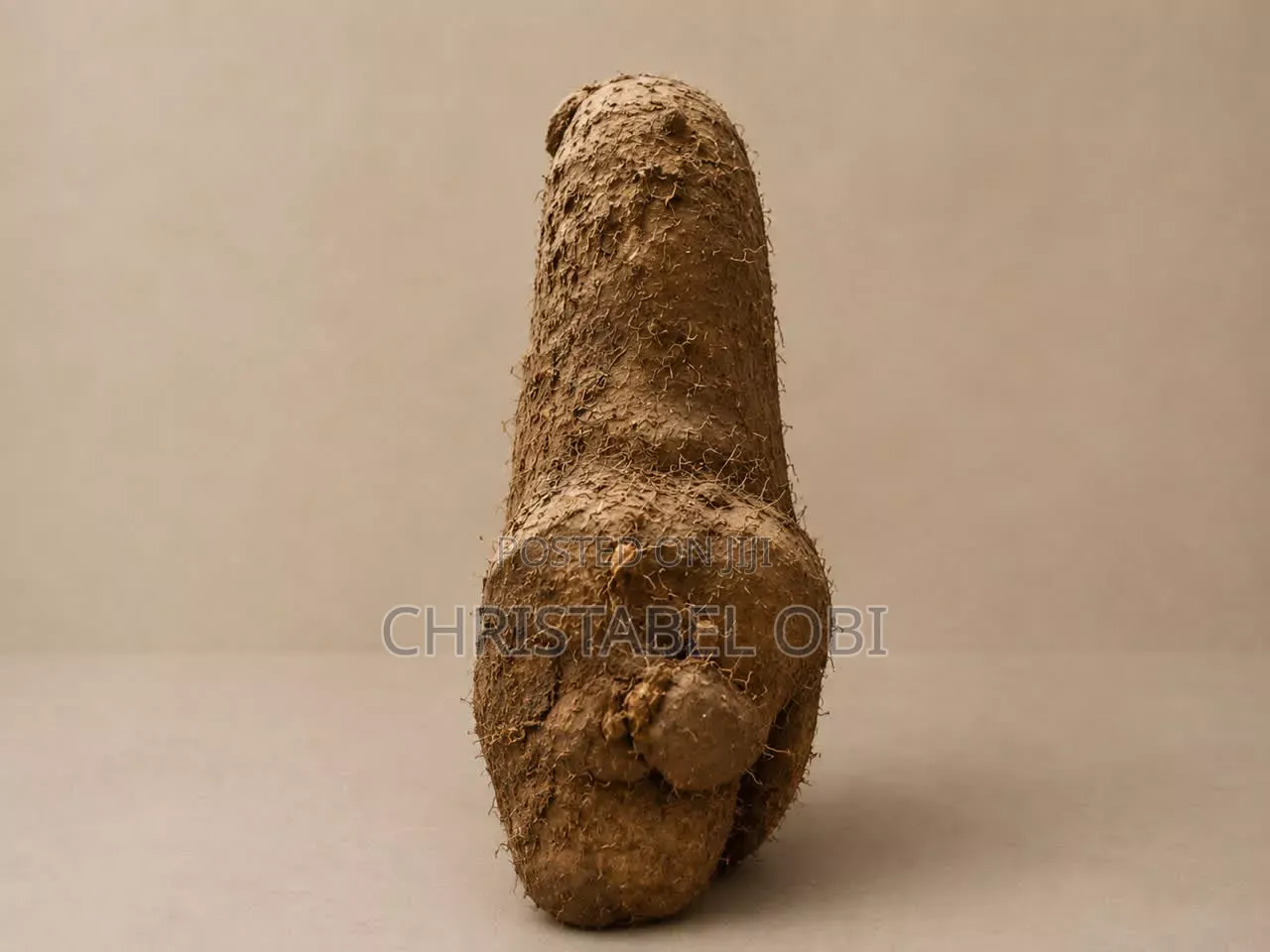 Maigo White Yam