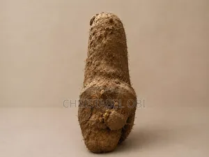 Maigo White Yam