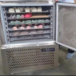 Blast Freezer