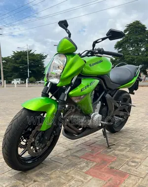 Kawasaki 2010 Green