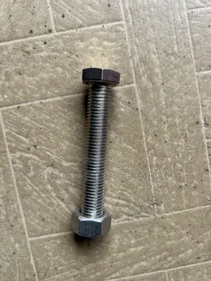 M16x100 304 Stainless Steel