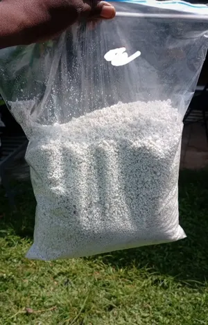 Perlites for Gardening