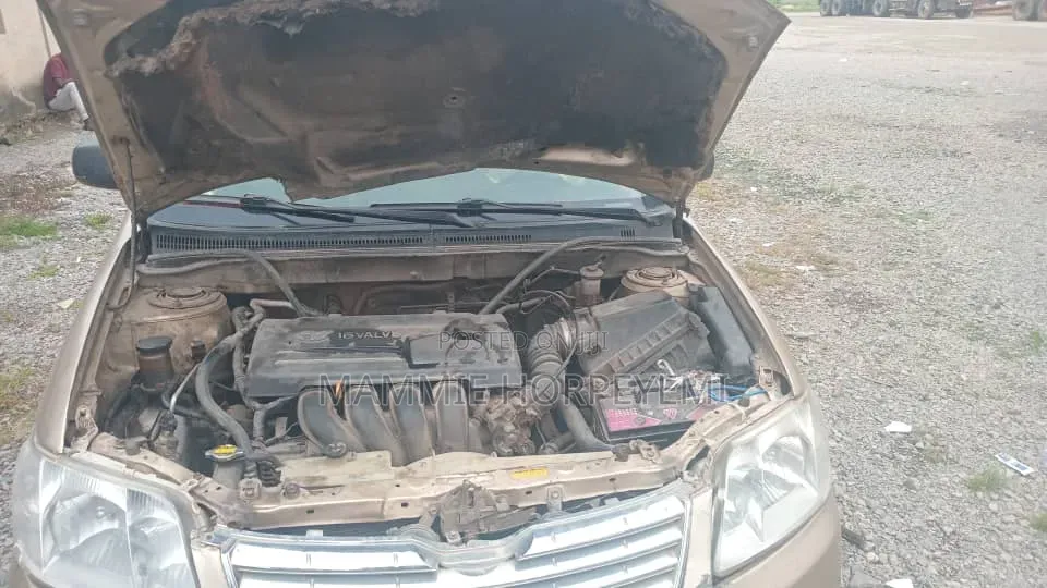 Toyota Corolla 2005 Gray