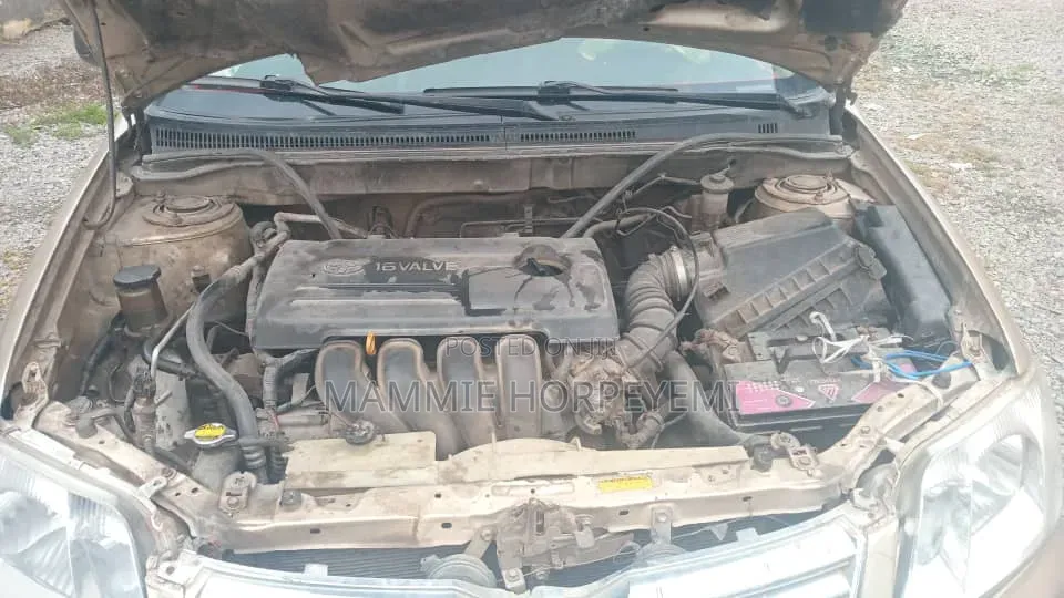 Toyota Corolla 2005 Gray