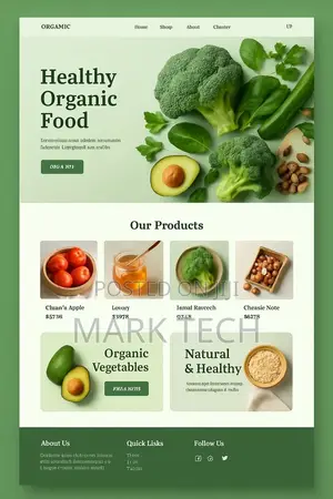 Professional Website Design Development Services in Nigeria