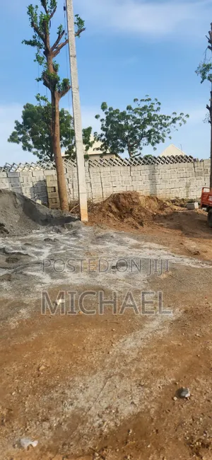 Dangote Cement and Blocks Distributor