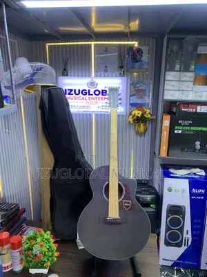 Mega Semi Accoustic Guitar