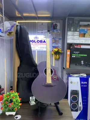 Mega Semi Accoustic Guitar