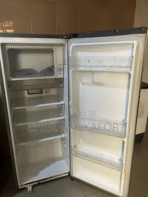LG 199l Fridge