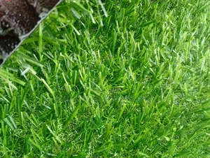 High Quality Super Grass 25mm