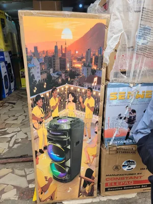 Rechageble Party Speaker