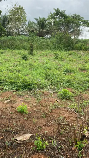 2 Plots of Land Available in Ife, Osun State.