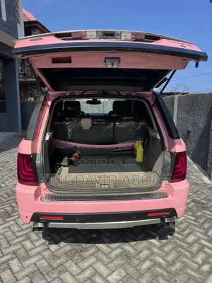Rover Land 2008 Pink