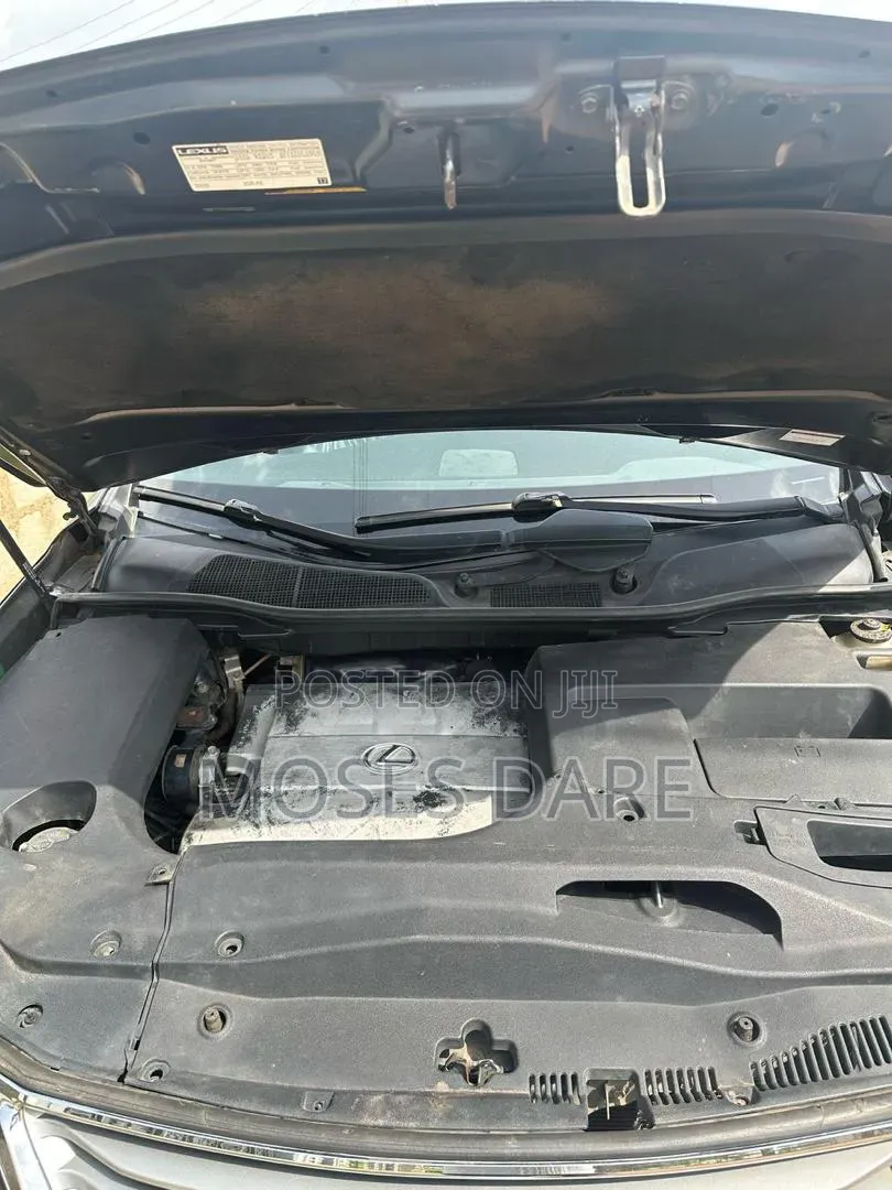 Lexus RX 350 2010 Gray