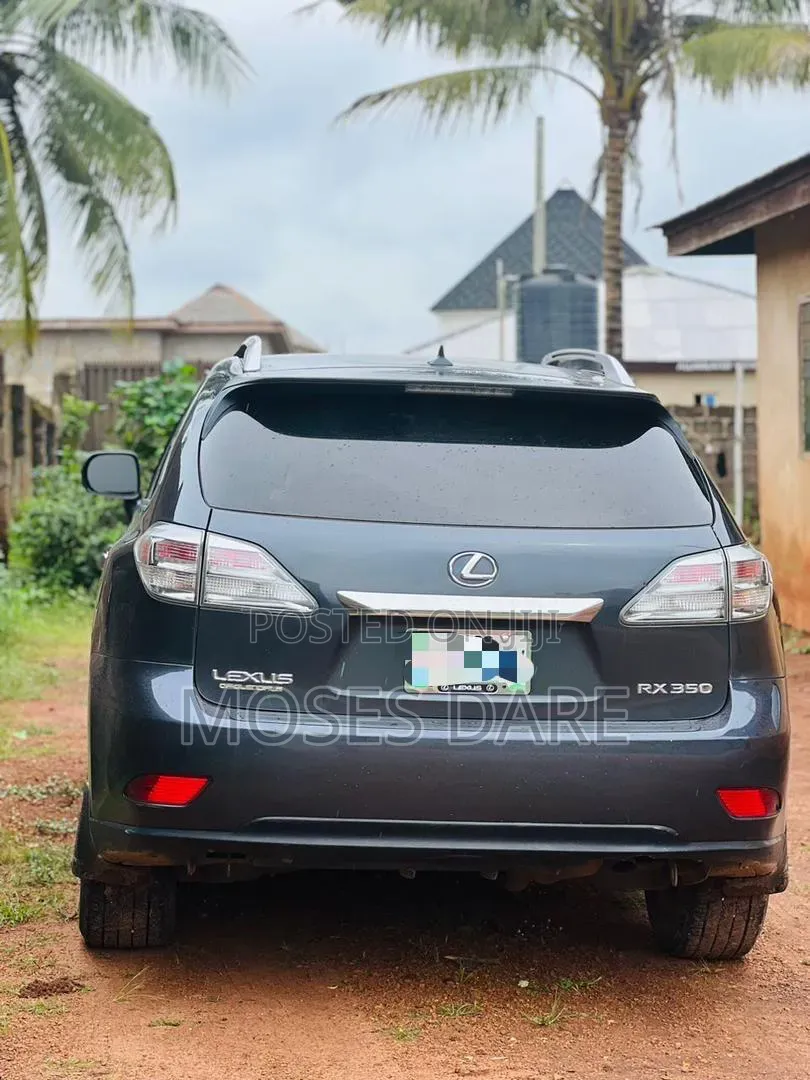 Lexus RX 350 2010 Gray