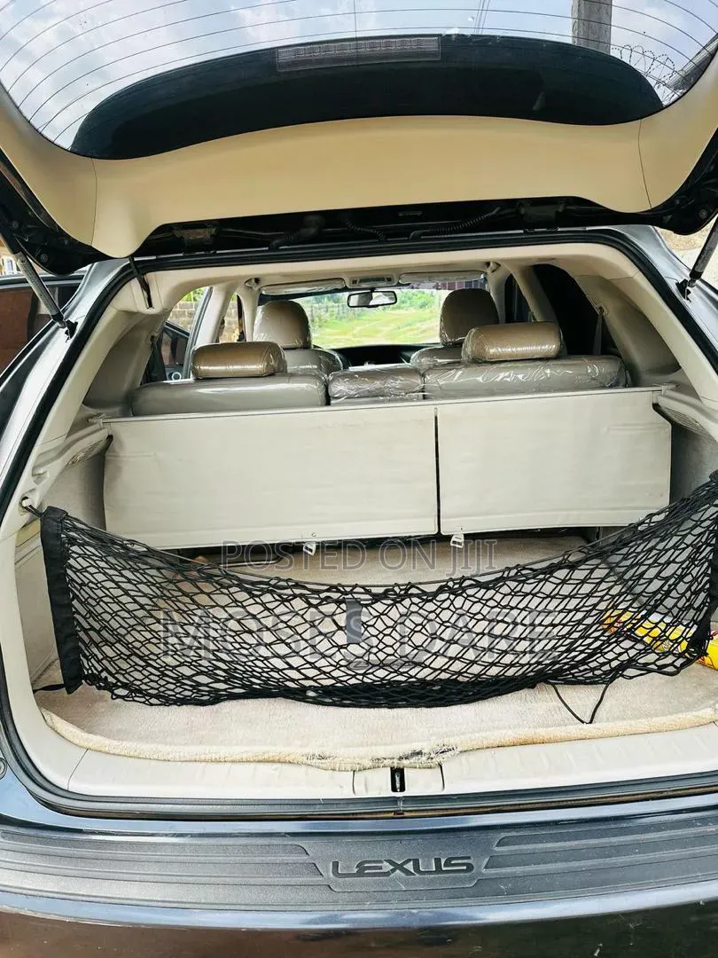 Lexus RX 350 2010 Gray