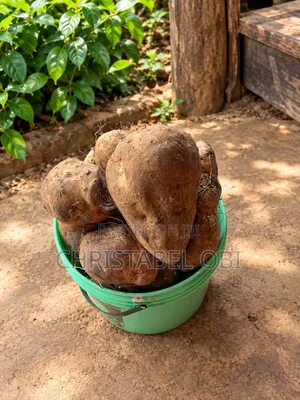 Sweet Potatoes