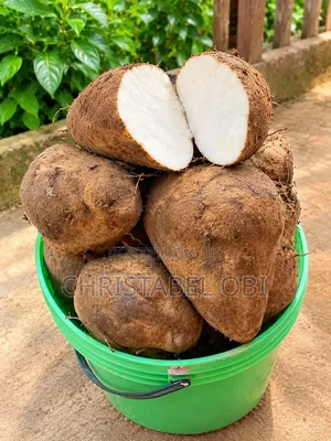 Sweet Potatoes
