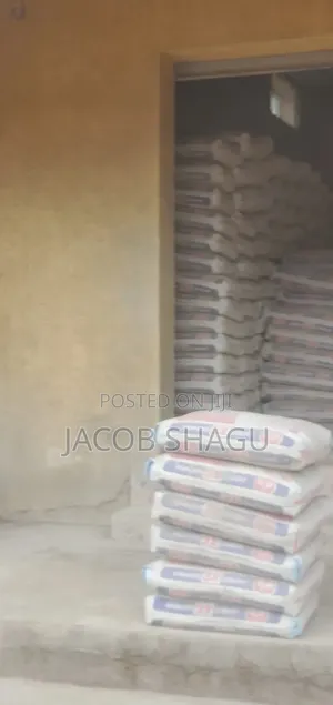 Shagu Ventures Is a Reliable Distributor of Dangote BUA and Lafarge