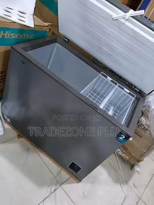 Hisense 249L Inverter Freezer for Business Use