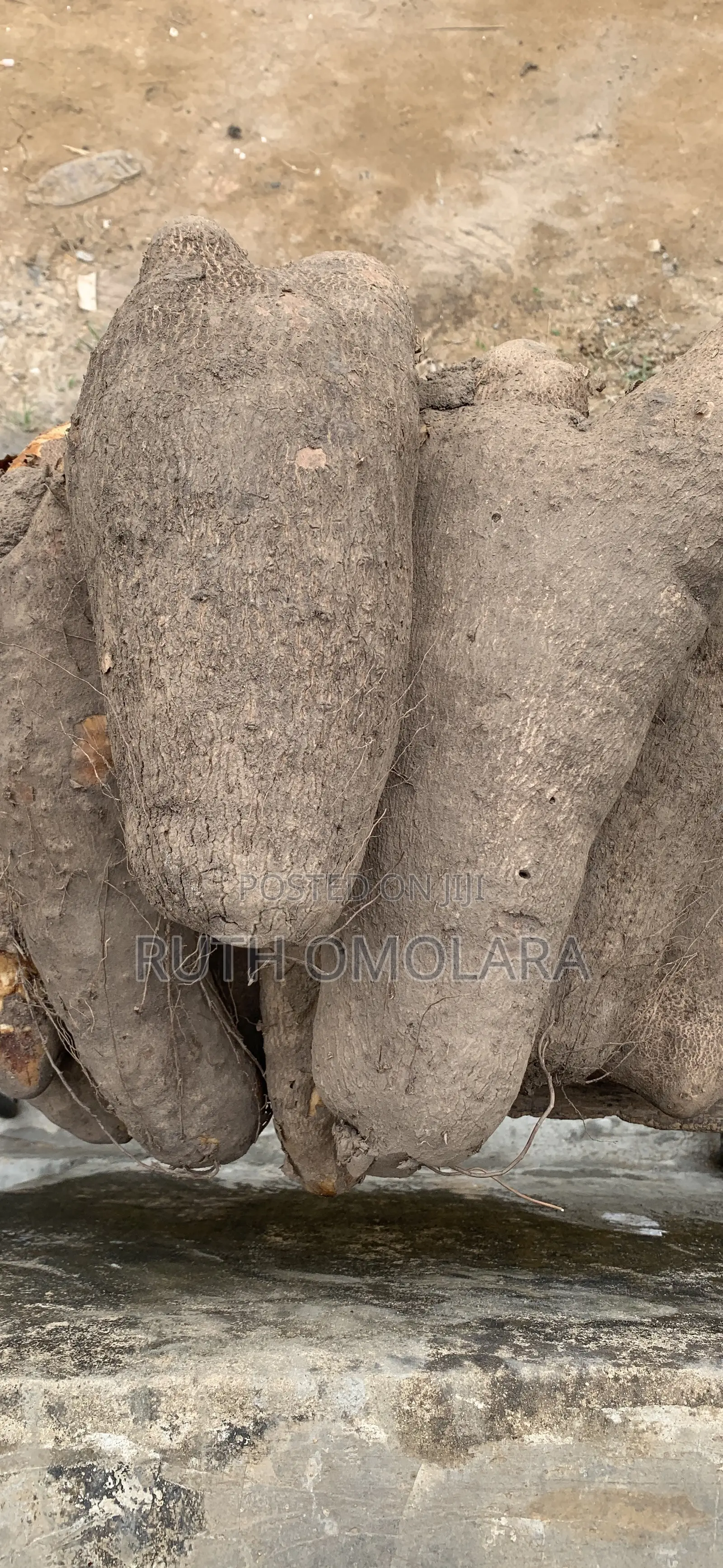Fresh Farm Yam Tuber