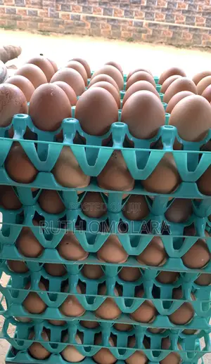 Fresh Farm Grade-a Eggs – Rich, Clean Nutritious (Crate of 30)