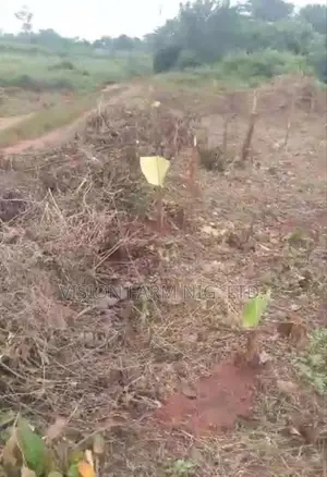 Land for Sales