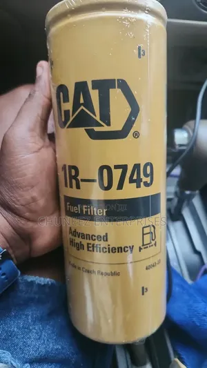 Cat Filter
