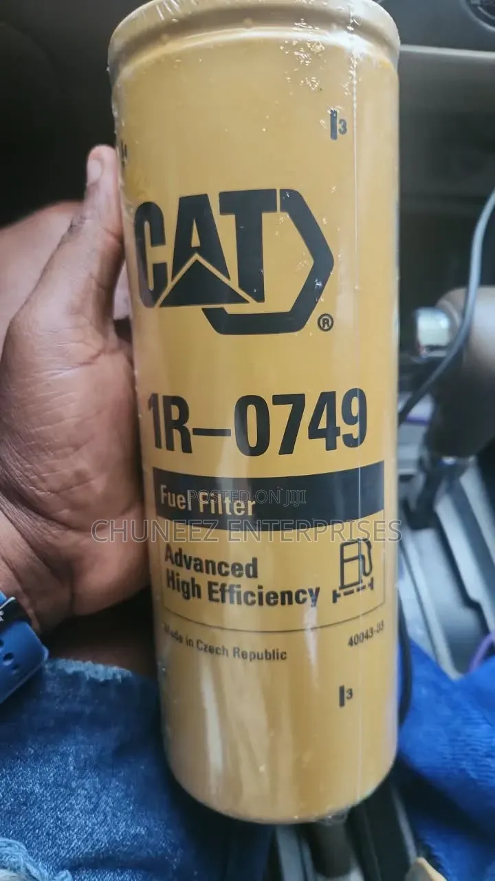 Cat Filter