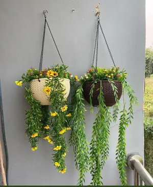 Outdoor Flower Suitable for Your Entrance Door