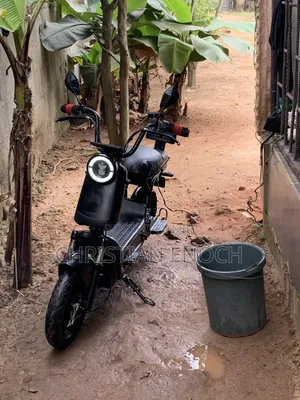 Electric Bike