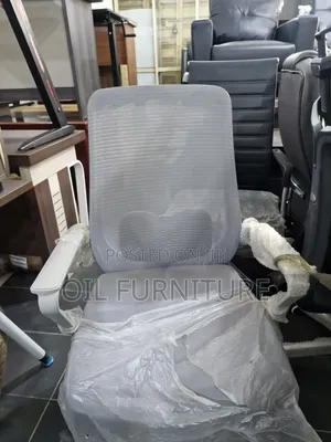 ​Executive Ergonomic Grey Mesh Office Chair With Lumbar Support