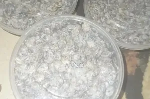 Very Fresh and Clean Locust Beans