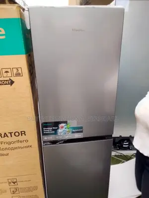 Hisense 29dca 225l No Frost Double Door Refrigerator