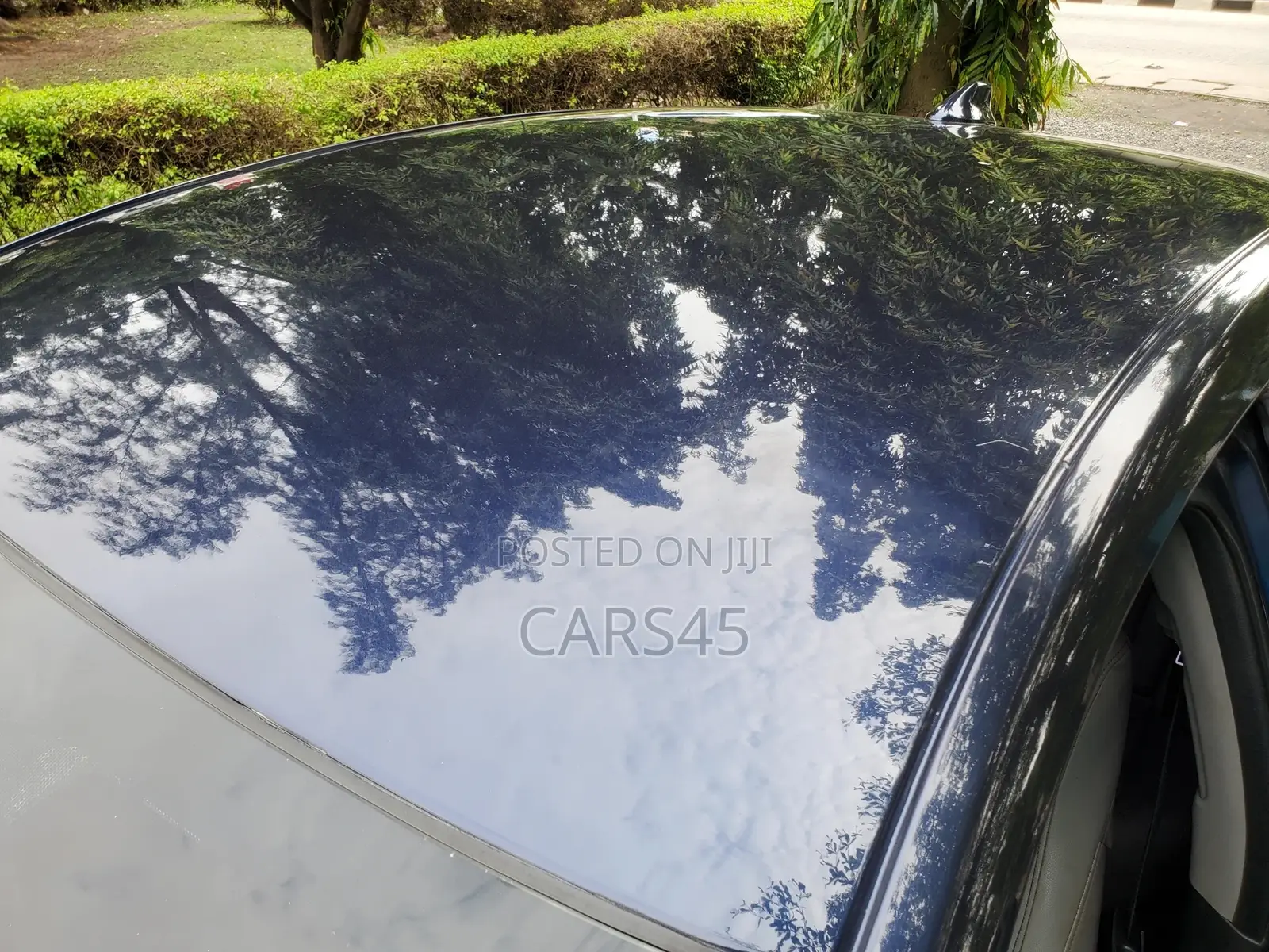 Honda Accord 2019 Blue