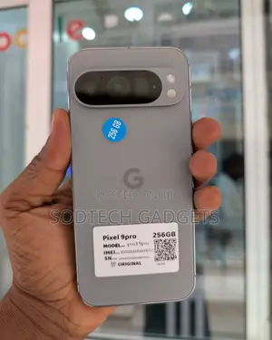 Google Pixel 9 Pro 256 GB Gray
