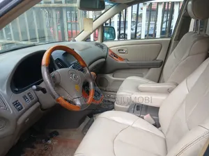 Lexus RX 2002 Blue