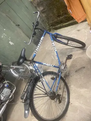 Neatly Used Bicycle