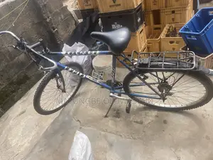 Neatly Used Bicycle