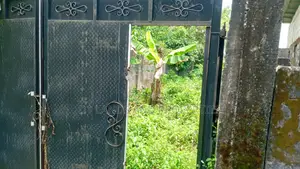 Fenced Gated Half Plot at Onosa Ibeju-Lekki Lagos