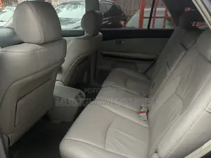 Lexus RX 2009 Blue
