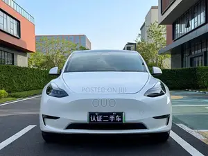 Tesla Model Y Standard Range RWD 2021 White