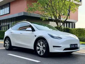 Tesla Model Y Standard Range RWD 2021 White