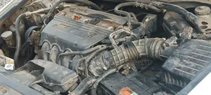 Honda Accord 2008 White