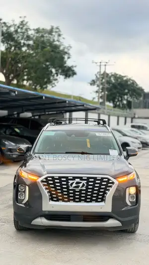 Hyundai Palisade 2020 Gray