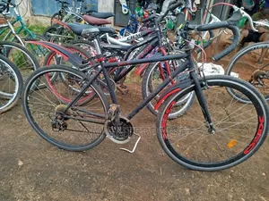 Dino XEO Road Bike Black